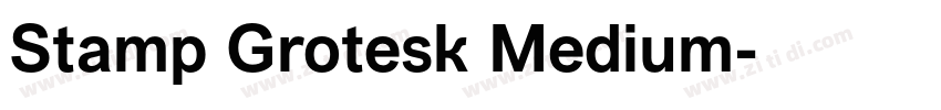Stamp Grotesk Medium字体转换